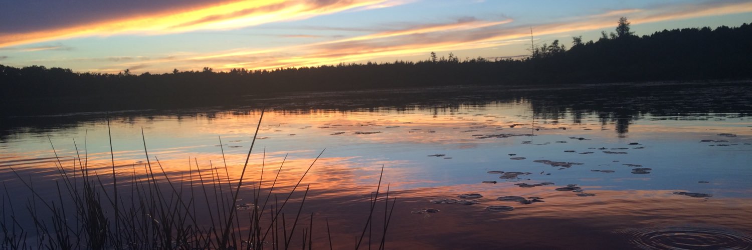 lchadwick913's profile banner image