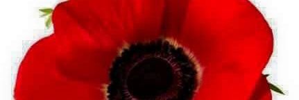 thewind1994's profile banner image