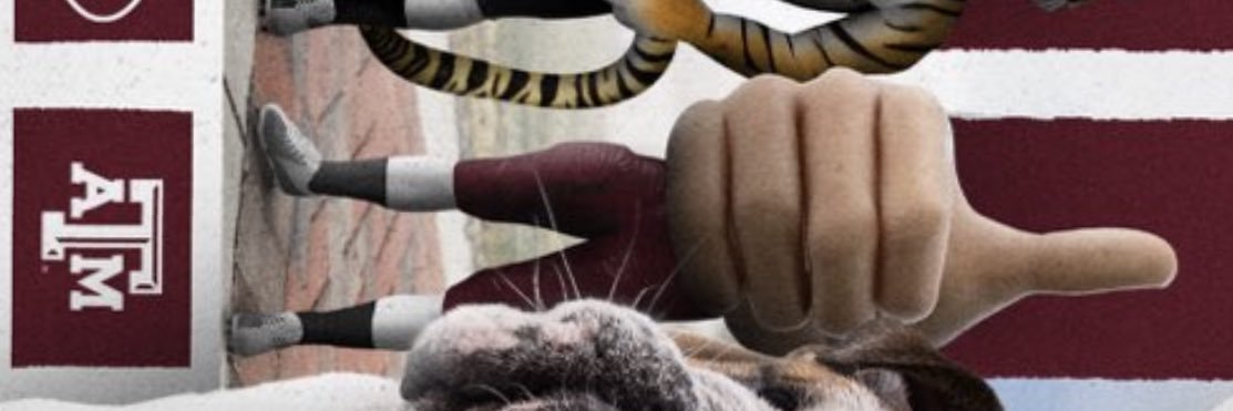 Carter Karels's banner
