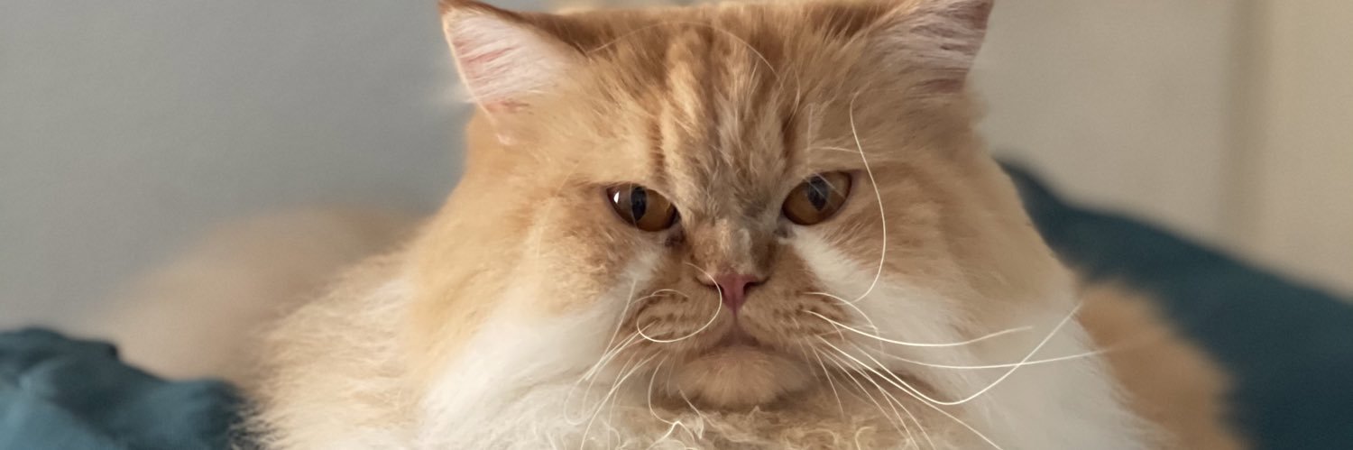 AaronIsChalked's profile banner image