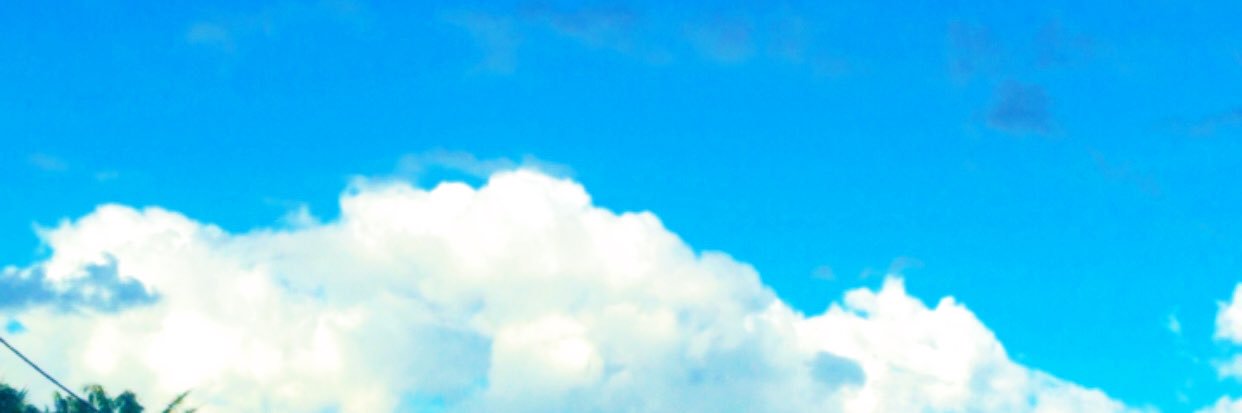 daixiey's profile banner image