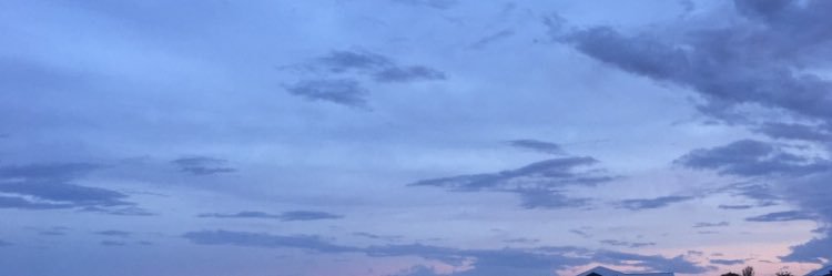 dessysxy's profile banner image