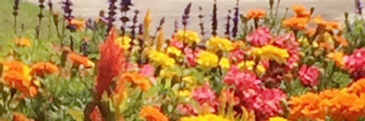 Hardashh's profile banner image