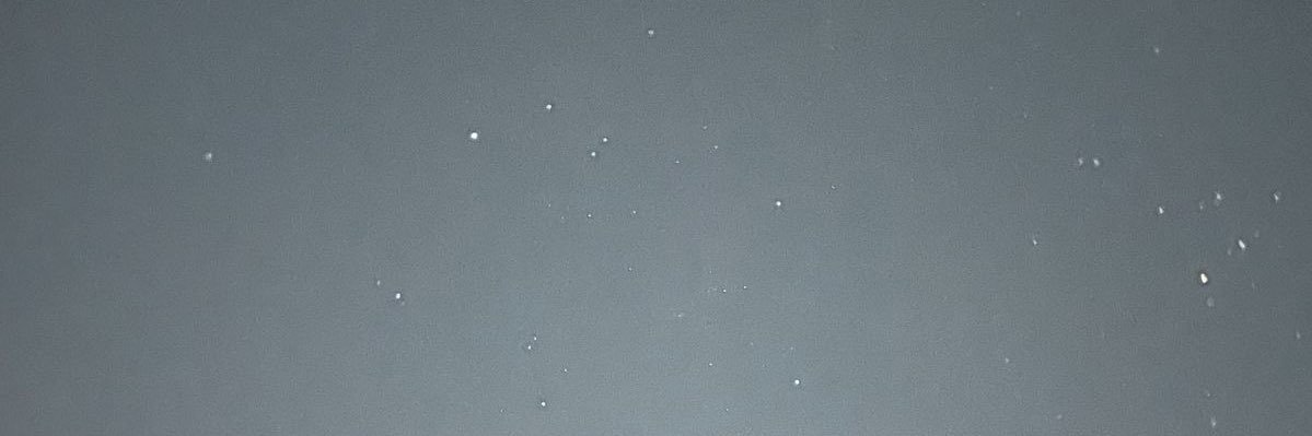 marissabraglia's profile banner image