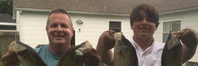 Robert Patterson banner