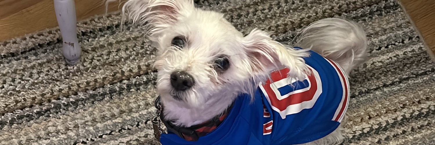 Jamie Renee Bowe 🏒🌻🎳 banner