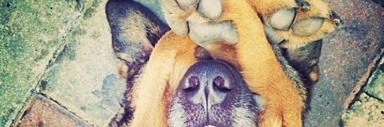 DaveeGC's profile banner image
