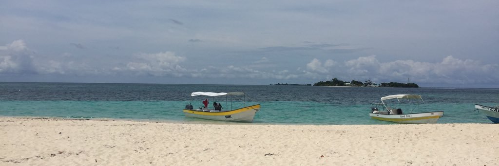 dolmo_melissa's profile banner image