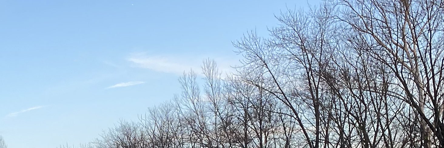 skoota banner
