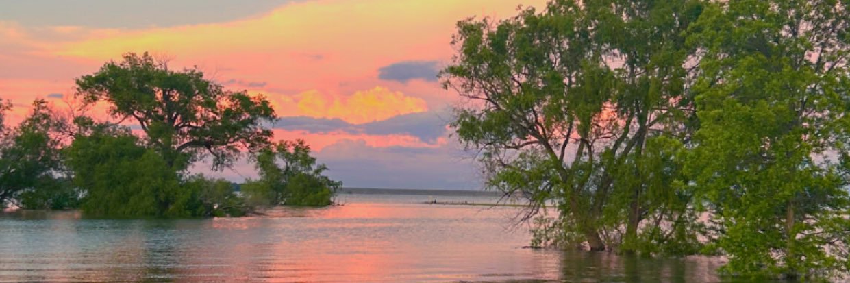 tstagg2708's profile banner image