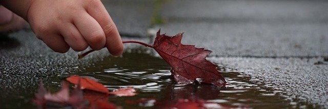 MLenzner69's profile banner image