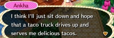 taco banner