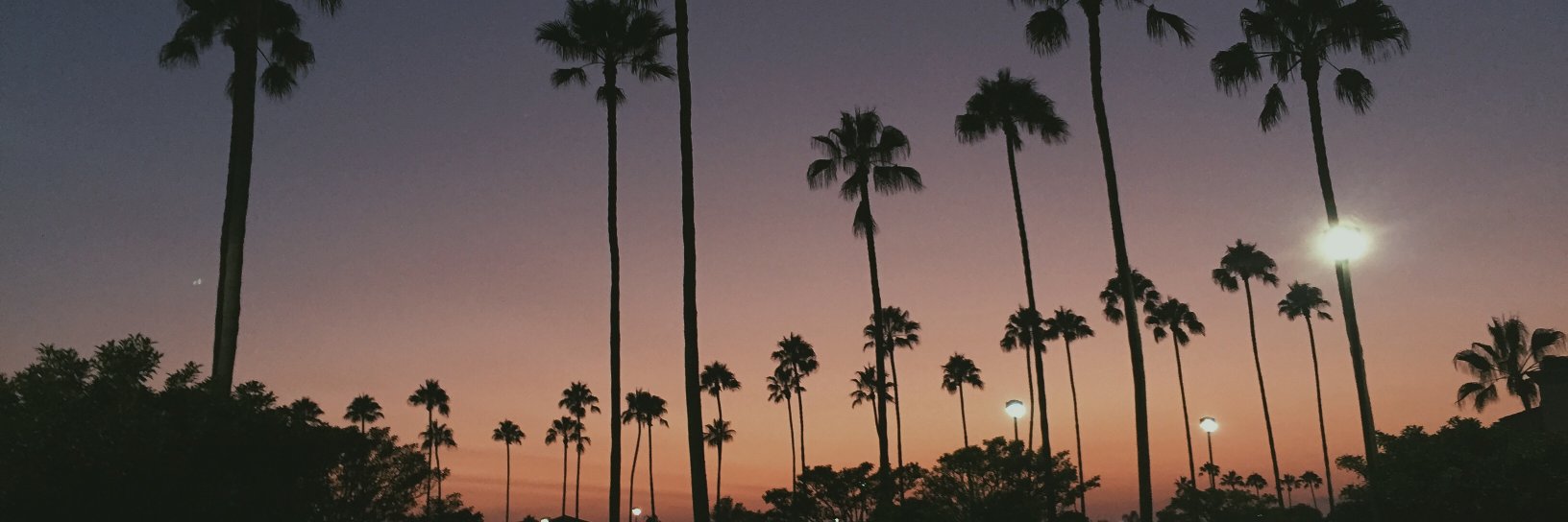 breann_m's profile banner image