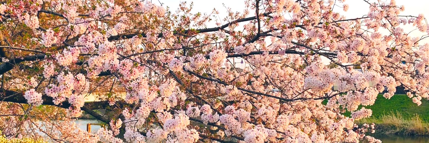 ひでか banner