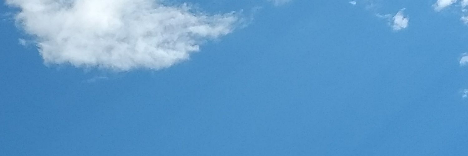 shadicusP's profile banner image