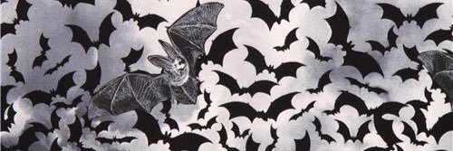 MorbidDevotchka's profile banner image
