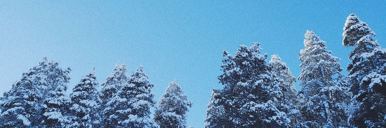 amaayezing's profile banner image
