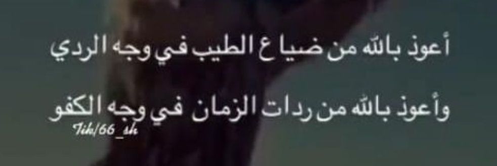 عبدالعزيز ال قاسم banner