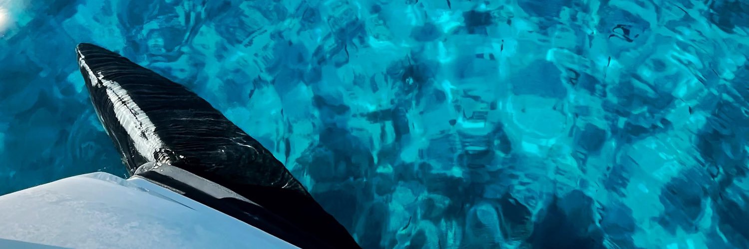 sercangurbuzz's profile banner image