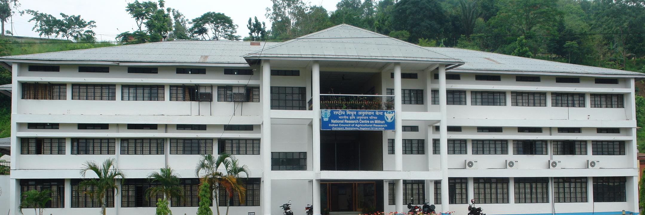 ICAR-National Research Centre on Mithun banner