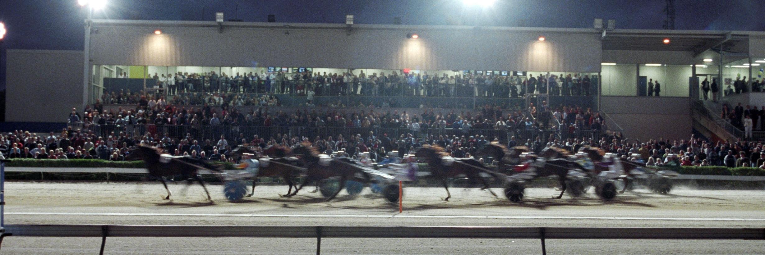 Geelong Harness RC banner