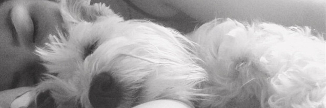 RomiChavarry's profile banner image