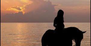Burcu234's profile banner image
