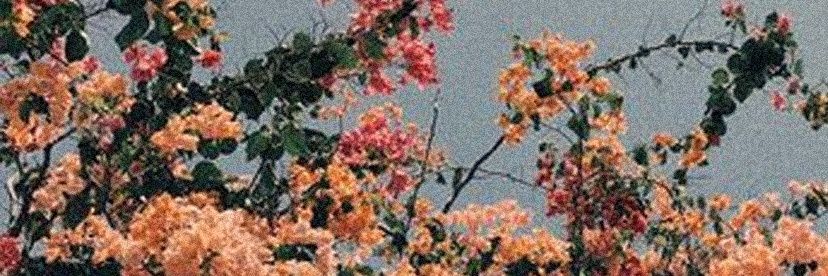 T_Hodder's profile banner image