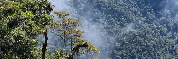 pancho_prieto Profile Banner