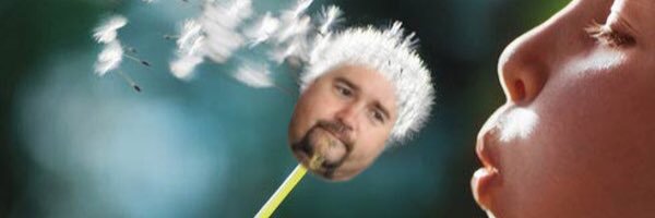 dollyxfarton's profile banner image
