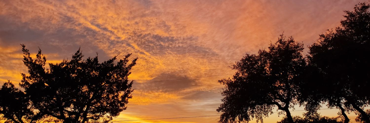 Wildsinns's profile banner image