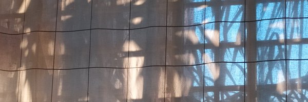 vik407 Profile Banner