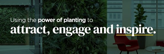 Vantage Spaces banner