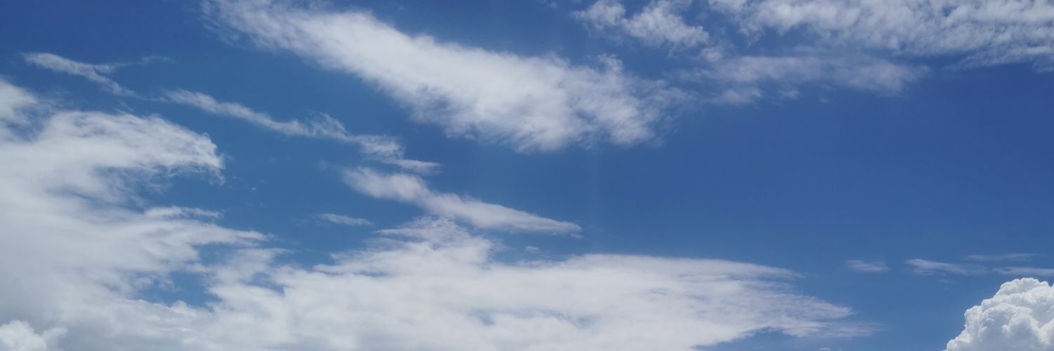 En el cielo de los michis banner