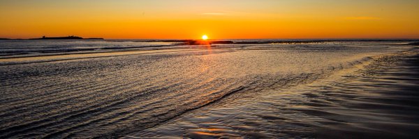 CardinalityIO Profile Banner