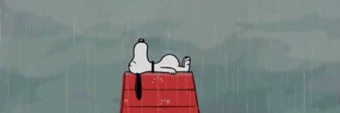rmayfield22's profile banner image