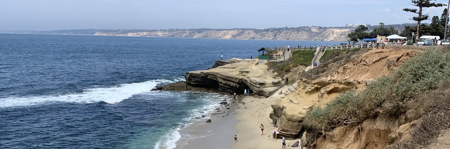 Carrie Mitchner banner