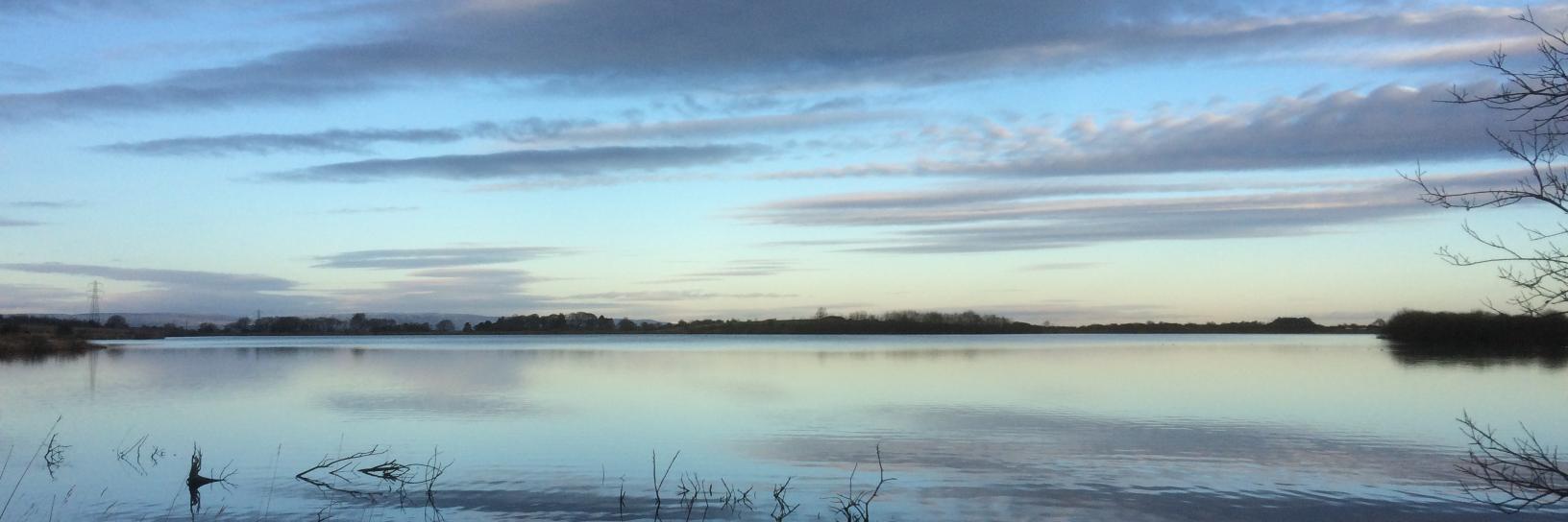 Will Tremlett banner