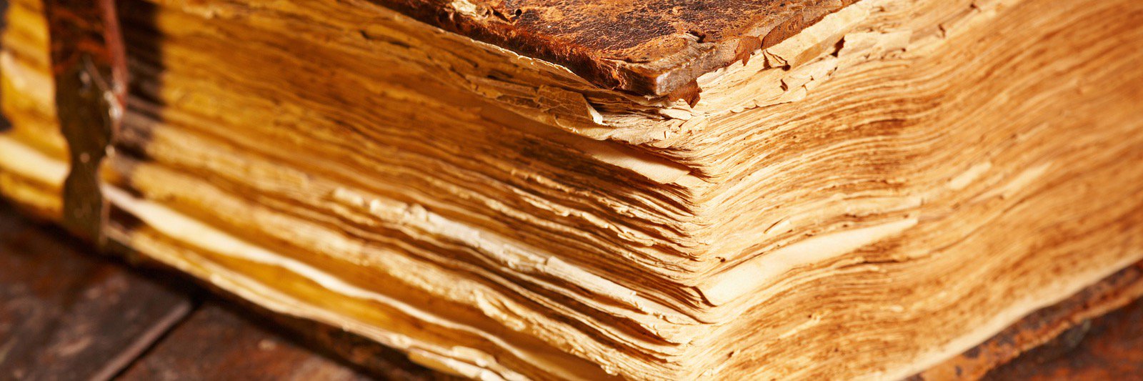 Librairie Martelle banner