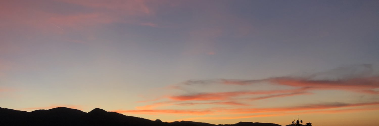 maricorderom's profile banner image