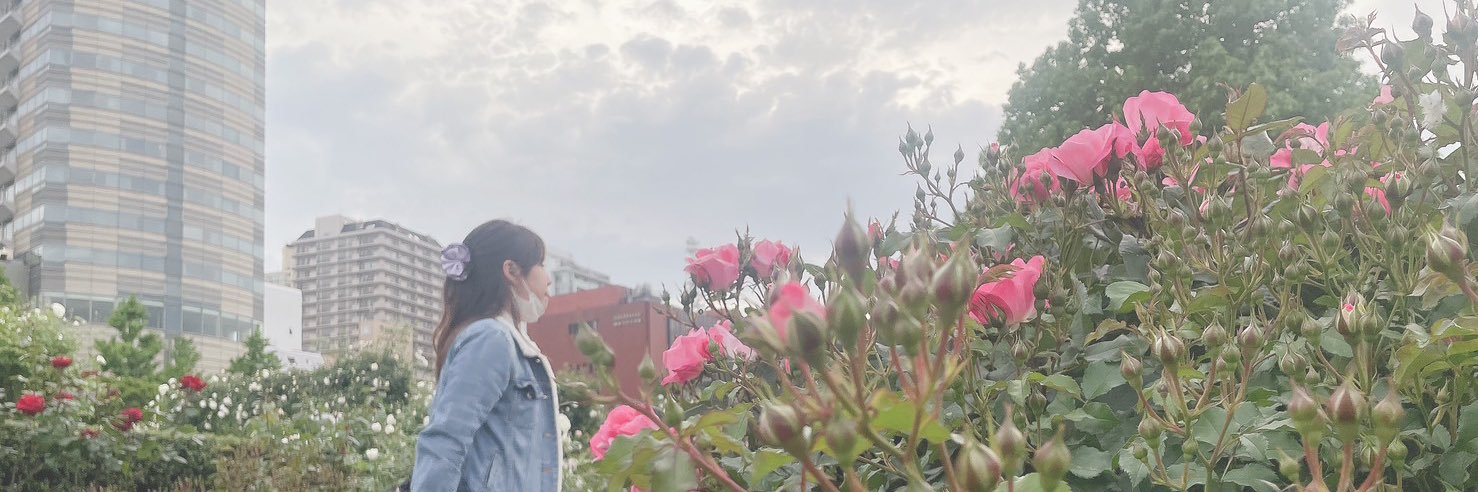 sousineo's profile banner image