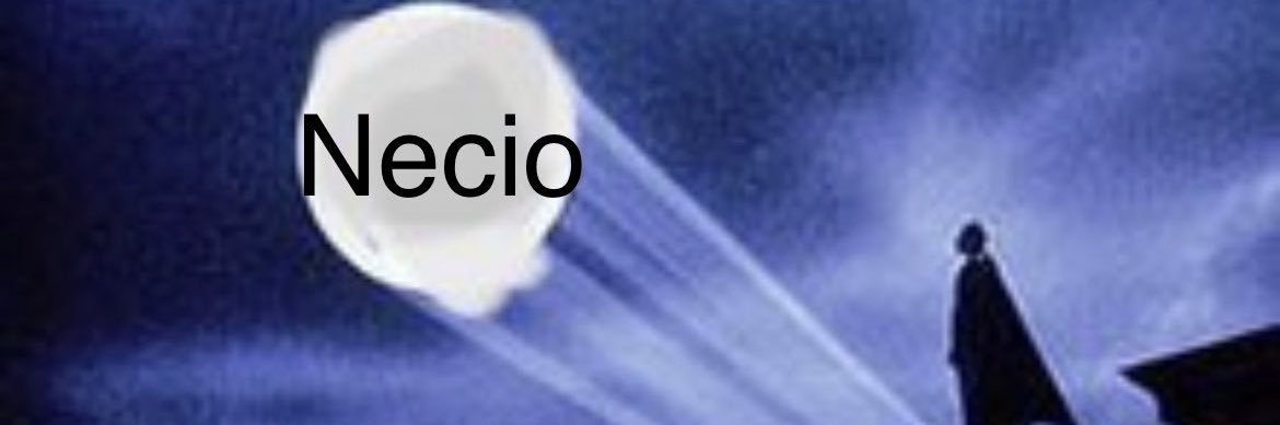 Brandon “Big Papi” Medina banner