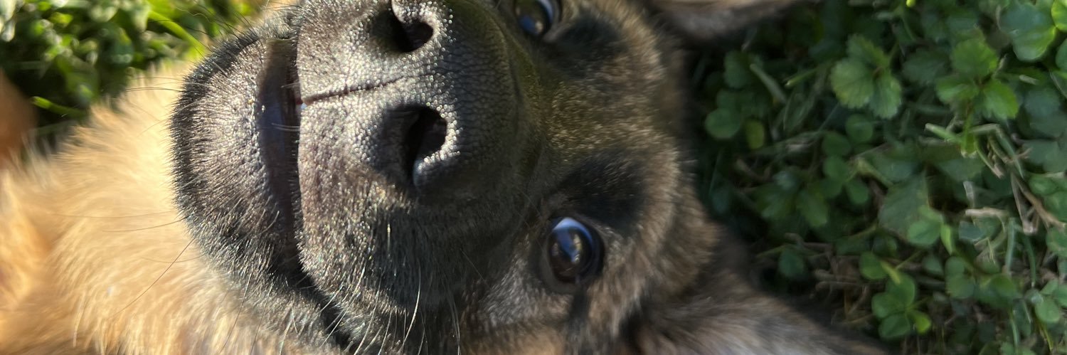 chknugz's profile banner image