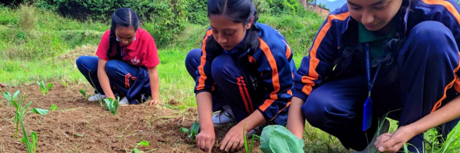 Antenna Foundation banner