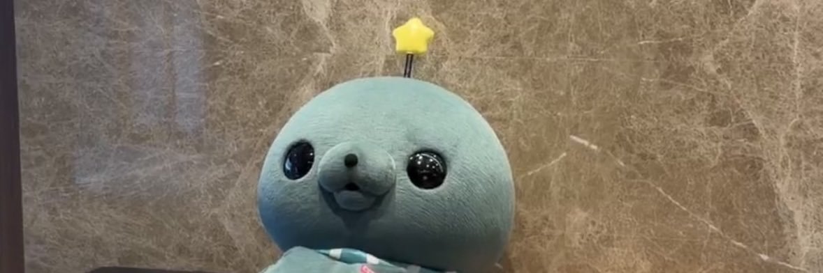 poko 🍿.⋆🦖꙳⋆🦕⊹🧸ྀི⸝⸝꙳⋆ banner
