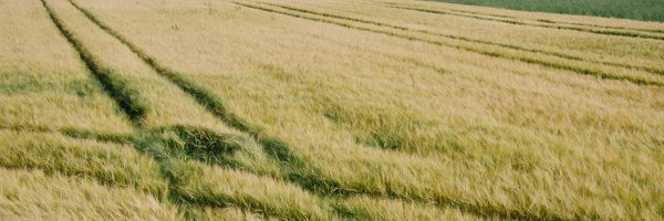 _foodmonitor Profile Banner