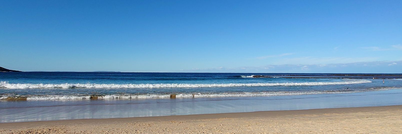 TracyS 💉💉💉💉💉 banner