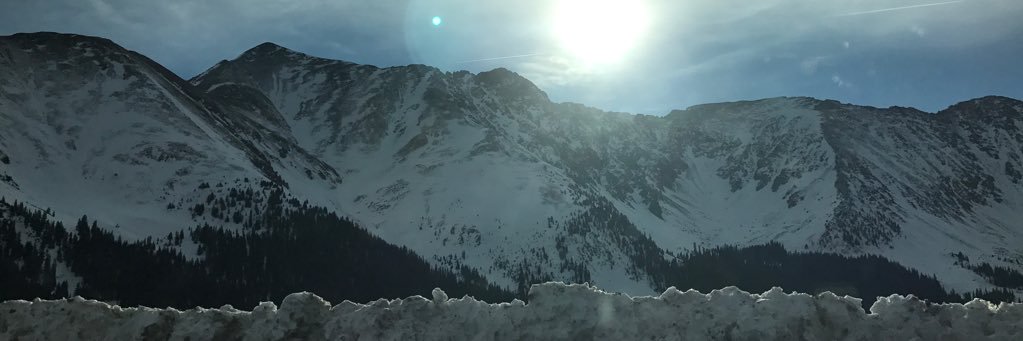 Carrie Pierce banner