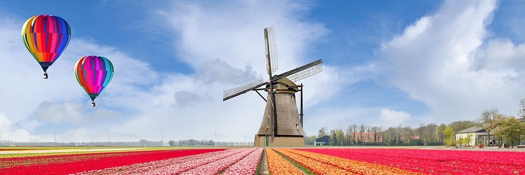 FrenchStitcher's profile banner image