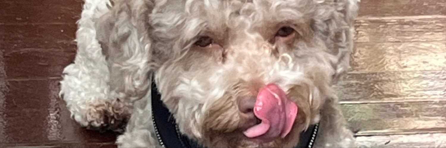 luhvludo's profile banner image